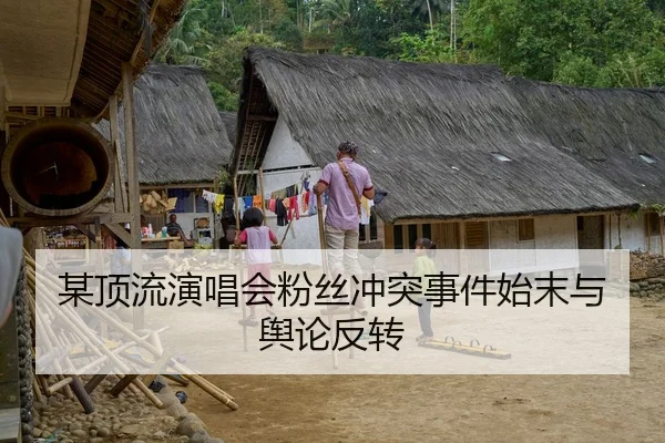 某顶流演唱会粉丝冲突事件始末与舆论反转